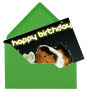 Happy Birtday pet guinea pig e-card