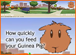 How quickly can you feed your Guinea Pig? Game